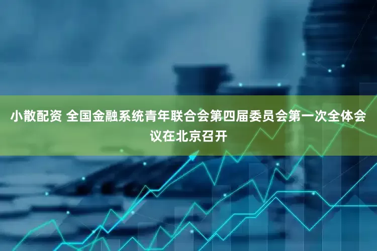 小散配资 全国金融系统青年联合会第四届委员会第一次全体会议在北京召开