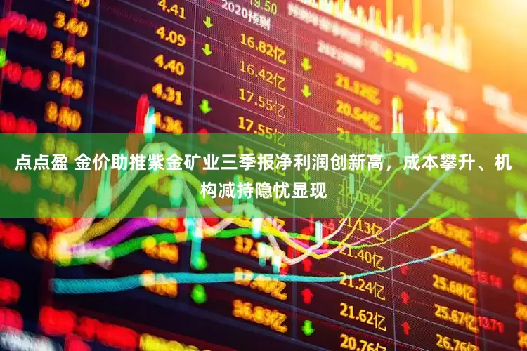 点点盈 金价助推紫金矿业三季报净利润创新高，成本攀升、机构减持隐忧显现