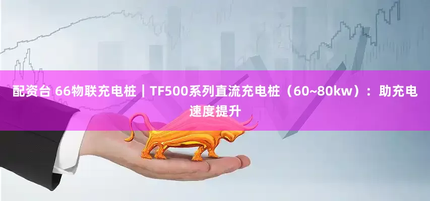配资台 66物联充电桩｜TF500系列直流充电桩（60~80kw）：助充电速度提升